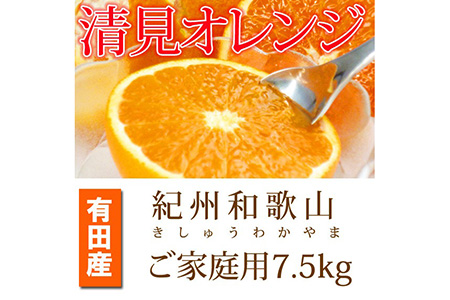 【ご家庭用訳アリ】紀州有田産清見オレンジ　7.5kg