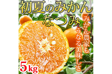 初夏のみかん なつみ5kg
