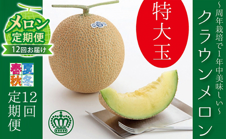 【メロン定期便】クラウンメロン（白等級） 特大玉  1玉 【12ヵ月連続】 果物類 メロン青肉 