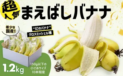 バナナ 紙箱入り 約10本 1.2kg 国産バナナ 贈答