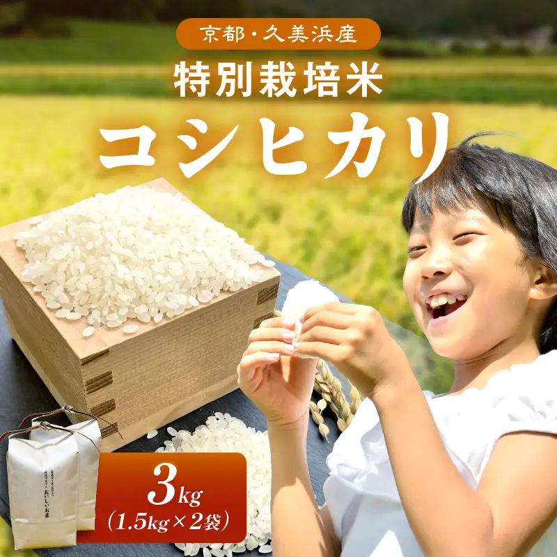 【令和7年】特別栽培米コシヒカリ3kg コシヒカリ 京丹後市