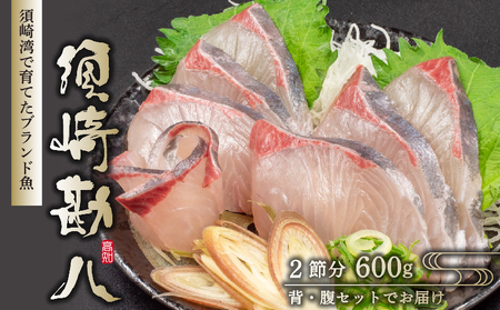 【 カンパチ 】 カンパチ刺身600g