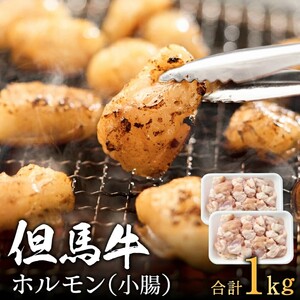 但馬牛経産牛「ホルモン」500ｇ×2パック　012AA04N.／肉 牛肉 お肉 ホルモン 但馬牛 経産牛 鍋 ホルモン鍋 もつ鍋 BBQ 焼き肉 焼肉 野菜炒め