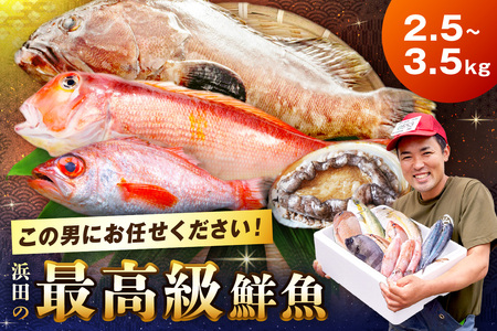 どんちっち浜田【輝き】鮮魚～最高級この男シリーズ～ 海鮮 鮮魚 詰め合わせ セット 【006_2050】