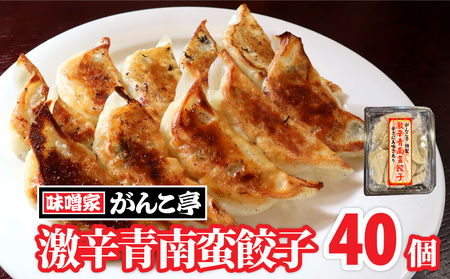 手作り 餃子 『激辛』青南蛮餃子 40個 たれ付 ラーメン 屋が作る 手作り餃子 岩手 味噌屋がんこ亭 岩手県 北上市 D0366 冷凍 豚肉 ギョーザ おかず 総菜 おつまみ 中華 お取り寄せ 焼き餃子 タレ付き 地産地消 