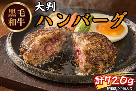 黒毛和牛ハンバーグ(計720g・180g×4個) ハンバーグ ハンバーグステーキ 【uj-DW001】【髙見牧場直売店 Meat&Fresh TAKAMI】