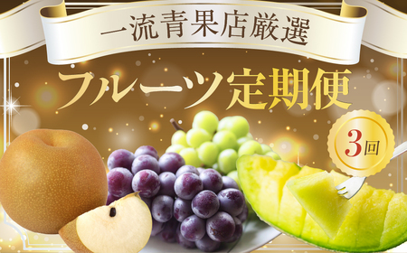 フルーツ定期便 3回 梨 ぶどう メロン