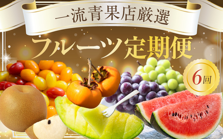 フルーツ定期便 6回 梨 ぶどう スイカ