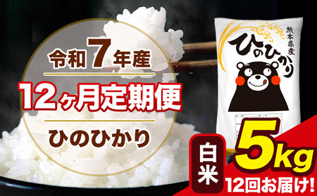 令和7年産  【12ヶ月定期便】 ひのひかり 白米 5kg 5kg×1袋 計12回お届け 熊本県産 こめ コメ 白米 精米 荒尾市 ひの 米 定期 《お申込み翌月から出荷》 美味しい米 お米 熊本県産米 くまもと米