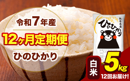 令和7年産 【12ヶ月定期便】 白米 米 ひのひかり 5kg《お申込み翌月から出荷》熊本県 大津町 国産 熊本県産 白米 送料無料 ヒノヒカリ こめ お米