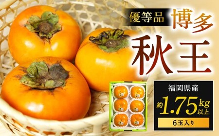 福岡県産 博多秋王【優等品】 約1.75kg以上（6玉入り）【2026年10月下旬～11月下旬発送予定】柿 かき 秋王 果物 フルーツ くだもの 先行予約