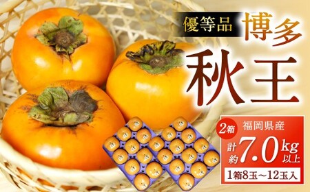 福岡県産 博多秋王【優等品】 計約7.0kg以上【約3.5kg以上（8玉～12玉入り） ×2箱】【2026年10月下旬～12月上旬発送予定】柿 かき 果物 フルーツ くだもの 先行予約