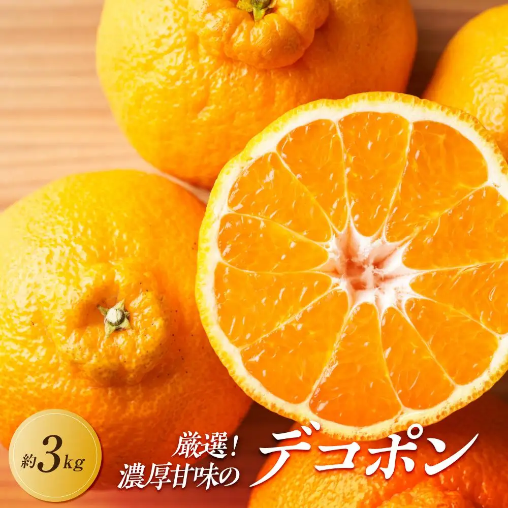 【2027年3月中旬より順次発送】厳選！濃厚甘味の「不知火(しらぬい)」約3kg｜果物 くだもの フルーツ 柑橘 みかん 不知火  濃厚 甘い ミカン 人気 おすすめ 先行予約 香川 高松