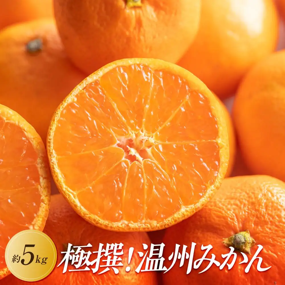 【2026年11月上旬より順次発送】極撰！温州みかん　約5kg｜果物 くだもの フルーツ 柑橘 みかん 温州みかん 人気 おすすめ 先行予約 香川 高松