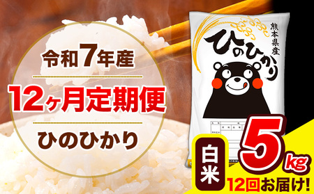 令和7年産 ひのひかり 【12ヶ月定期便】 白米  5kg (5kg×1袋) 計12回お届け 《お申込み翌月から出荷》 熊本県産 白米 精米 ひの 米 こめ お米 熊本県 長洲町
