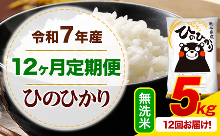 【12ヶ月定期便】令和7年産 無洗米 ひのひかり 定期便 5kg(5kg×1袋)《お申込み翌月から出荷》