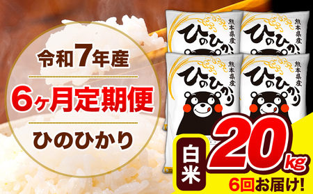 令和7年産 ひのひかり 【6ヶ月定期便】 白米  20kg (5kg×4袋) 計6回お届け 《お申込み翌月から出荷》 熊本県産 白米 精米 ひの 米 こめ お米 熊本県 長洲町