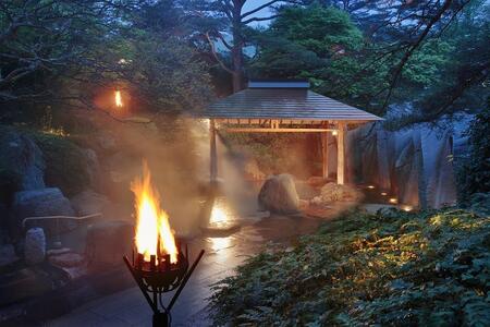【篝火の湯　緑水亭】平休日1泊2食付 ペア宿泊券《【さくら館】和室10畳》