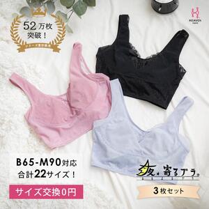 【サイズLLG】 寝ている間に集中育乳！夜寄るブラ 3枚セット ナイトブラ ノンワイヤー ヘブンジャパン HEAVEN Japan