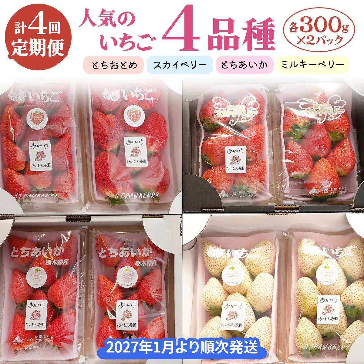 【4ヶ月連続定期便／計4回】 人気のいちご4品種【2027年1月より順次発送】 [0963]