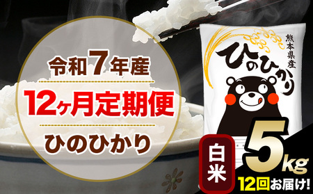 令和7年産 【12ヶ月定期便】白米 ひのひかり 5kg 5kg×1袋《お申込み翌月から出荷》｜人気米 熊本県産米 お米 生活応援米