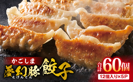 2773 かごしま 夢幻豚 餃子 12個 × 5P KN021-037-01 肉 豚肉 惣菜 総菜