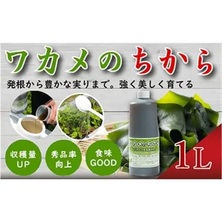 ワカメのちから　1Lボトル_雑貨・日用品 アウトドア用品 スポーツ・アウトドア用品 _【1566448】
