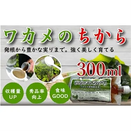 ワカメのちから　300ccボトル_雑貨・日用品 アウトドア用品 スポーツ・アウトドア用品 _【1566453】