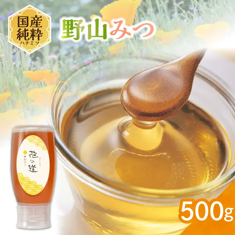 国産純粋蜂蜜 野山みつ 500g 非加熱 はちみつ ハチミツ 生はちみつ ローハニー オススメ 贈答 贈り物 プレゼント 八女市 183-026