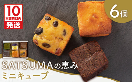 【 10営業日以内に発送 】 SATSUMAの恵み（ ミニキューブ ） 6個入り K325-001 冷凍 スピード配送 最短 すぐ届く お急ぎ