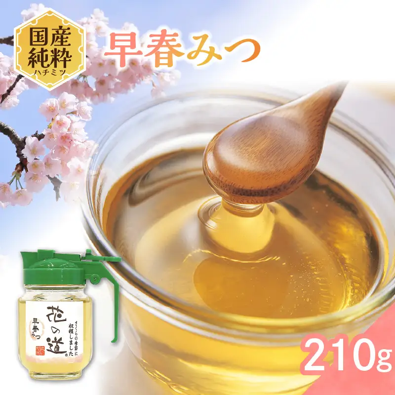 国産純粋蜂蜜 早春みつ 210g 非加熱 はちみつ ハチミツ 生はちみつ ローハニー オススメ 贈答 贈り物 プレゼント 八女市 183-018