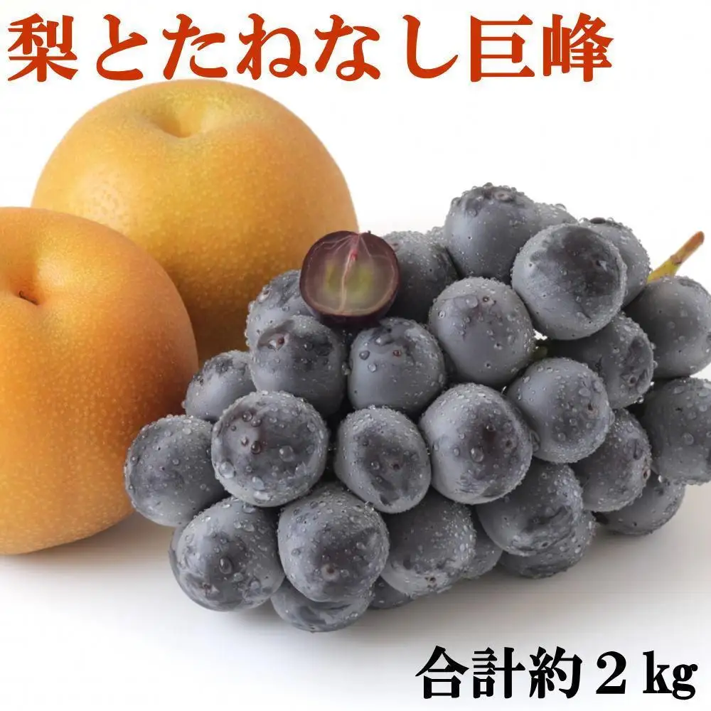 ［先行予約］［数量限定］梨とたなねし巨峰の詰め合わせ 約2kg　★2026年8月中旬頃より順次発送