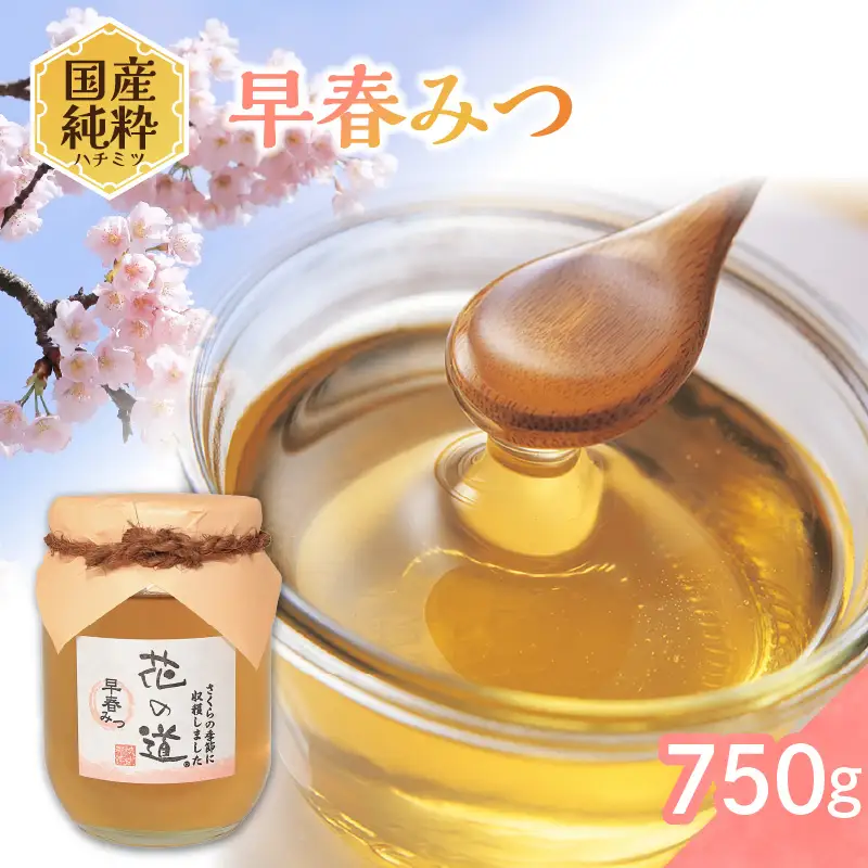 国産純粋蜂蜜 早春みつ 750g 非加熱 はちみつ ハチミツ 生はちみつ ローハニー オススメ 贈答 贈り物 プレゼント 八女市 183-022