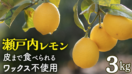 【先行予約】 もぎたてフレッシュ！ せとうちレモン 約3kg 2026年12月中旬～2027年1月発送 ワックス防腐剤不使用 皮まで丸ごと食べられる