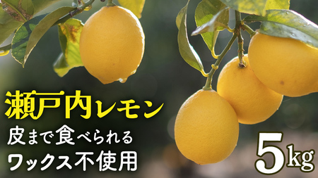 【先行予約】 もぎたてフレッシュ！ せとうちレモン 約5kg (約 40～50個程度 ) 2026年12月中旬～2027年1月発送 ワックス防腐剤不使用 皮まで丸ごと食べられる