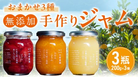 岩﨑農園 無添加 手作り ジャム 200g 3本