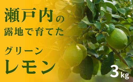 【 先行予約 】 瀬戸内の露地 グリーンレモン 約3kg 【 2026年10月末～11月下旬発送 】 皮まで丸ごと食べられる