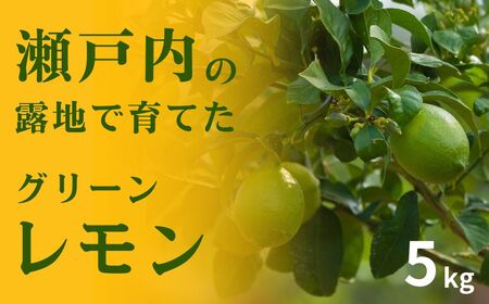 【 先行予約 】 瀬戸内の露地 グリーンレモン 約5kg 【 2026年10月末～11月下旬発送 】 皮まで丸ごと食べられる