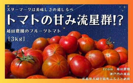 【先行予約】 【甘みがジュワ～っ！】瀬戸内のフルーツトマト 3kg 糖度8度以上 【 2027年4月中旬発送開始 】 大崎上島 越田農園