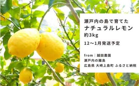 瀬戸内レモン  約3kg  【 2026/12月 ～ 2027/1月発送 先行予約 】 ワックス 防腐剤不使用