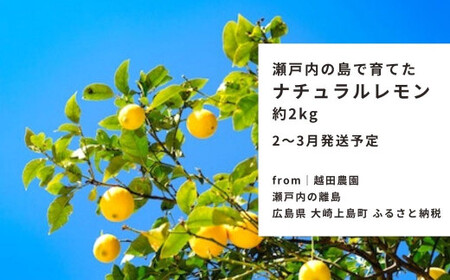 瀬戸内レモン  約2kg  【 2027/2月  ～ 3月発送 先行予約 】 ワックス 防腐剤不使用