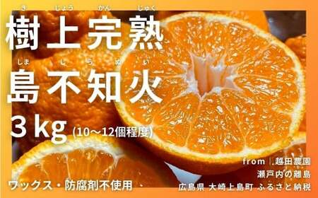瀬戸内の不知火 3kg(10～12個程度) 【2027/2月～4月発送 先行予約 】 ワックス 防腐剤不使用