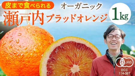 瀬戸内 オーガニック ブラッドオレンジ 1kg (8〜10個程度)  【2027年2月下旬以降発送】