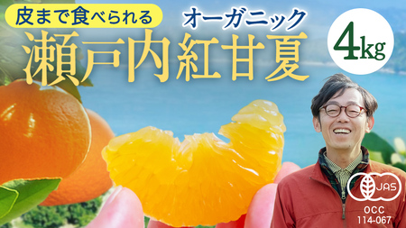 瀬戸内 オーガニック 紅甘夏 4kg 【2027年3月下旬以降発送】