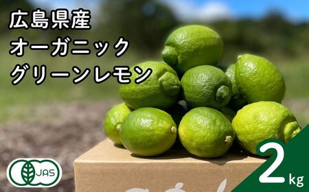 グリーンレモン 約2kg 【2026年 10月 ～ 11月 発送】 先行予約