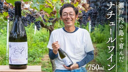 瀬戸内 の ナチュールワイン 750mL 【Vignoble de NAKA 2023 rouge MBA】