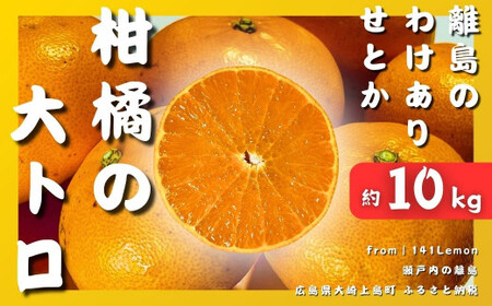 【2027年3月発送】 瀬戸内 訳あり せとか 約10kg 