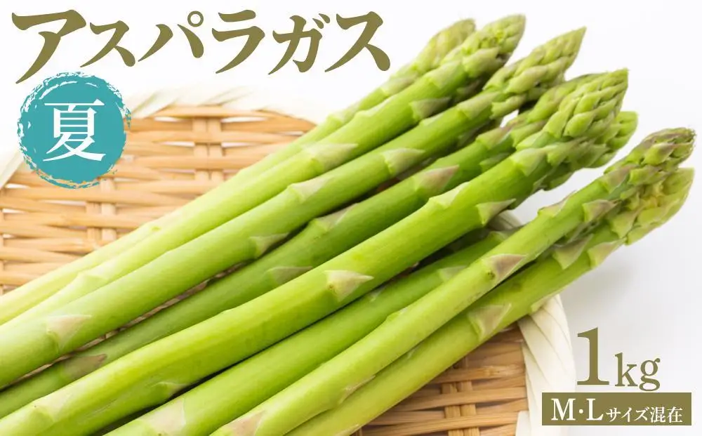 夏アスパラガス 1kg M・Lサイズ混在 2026年6月より順次発送
