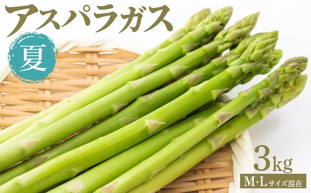 夏アスパラガス 3kg M・Lサイズ混在 2026年6月より順次発送