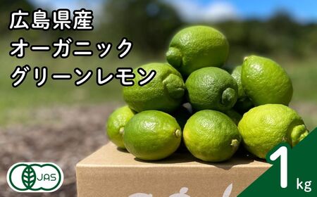 グリーンレモン 約1kg 【2026年 10月 ～ 11月 発送】 先行予約